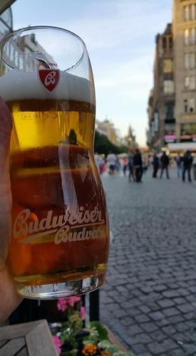 Having-a-Budweiser-Budvar-Czech-Premium-Lager-in-Prague